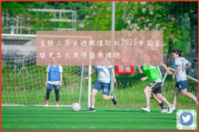 金陵三月共迎辉煌时刻2025中国金球奖各大奖项盛典揭晓