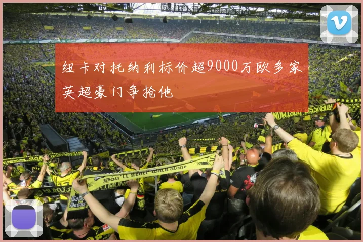 纽卡对托纳利标价超9000万欧多家英超豪门争抢他